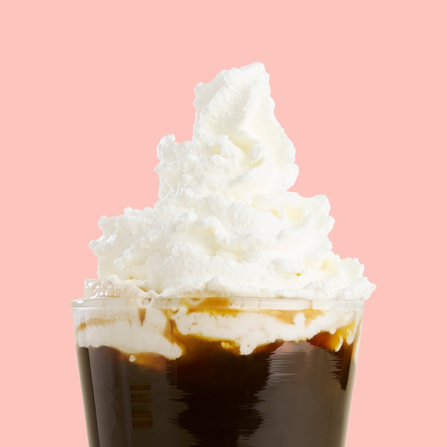 Stainless Steel Whipped Cream Dispenser